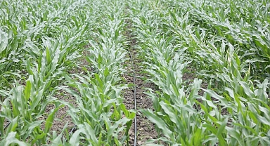 PepsiCo Suyun Geleceğini Koruma Konusunda Kararlı Adımlar Atmaya Devam Ediyor