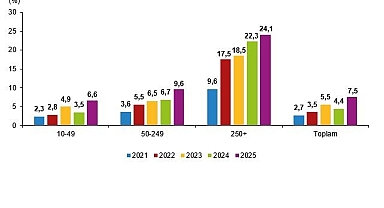 Yapay Zeka İstatistikleri, 2025